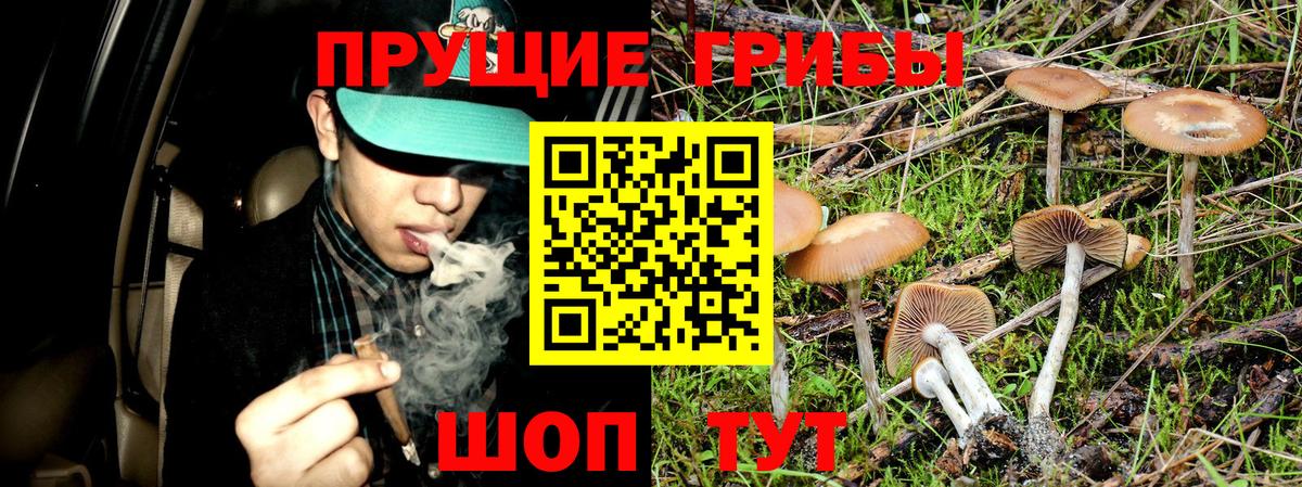 Белорецк  Псилоцибиновые грибы ЛСД  Вход с VPN 
